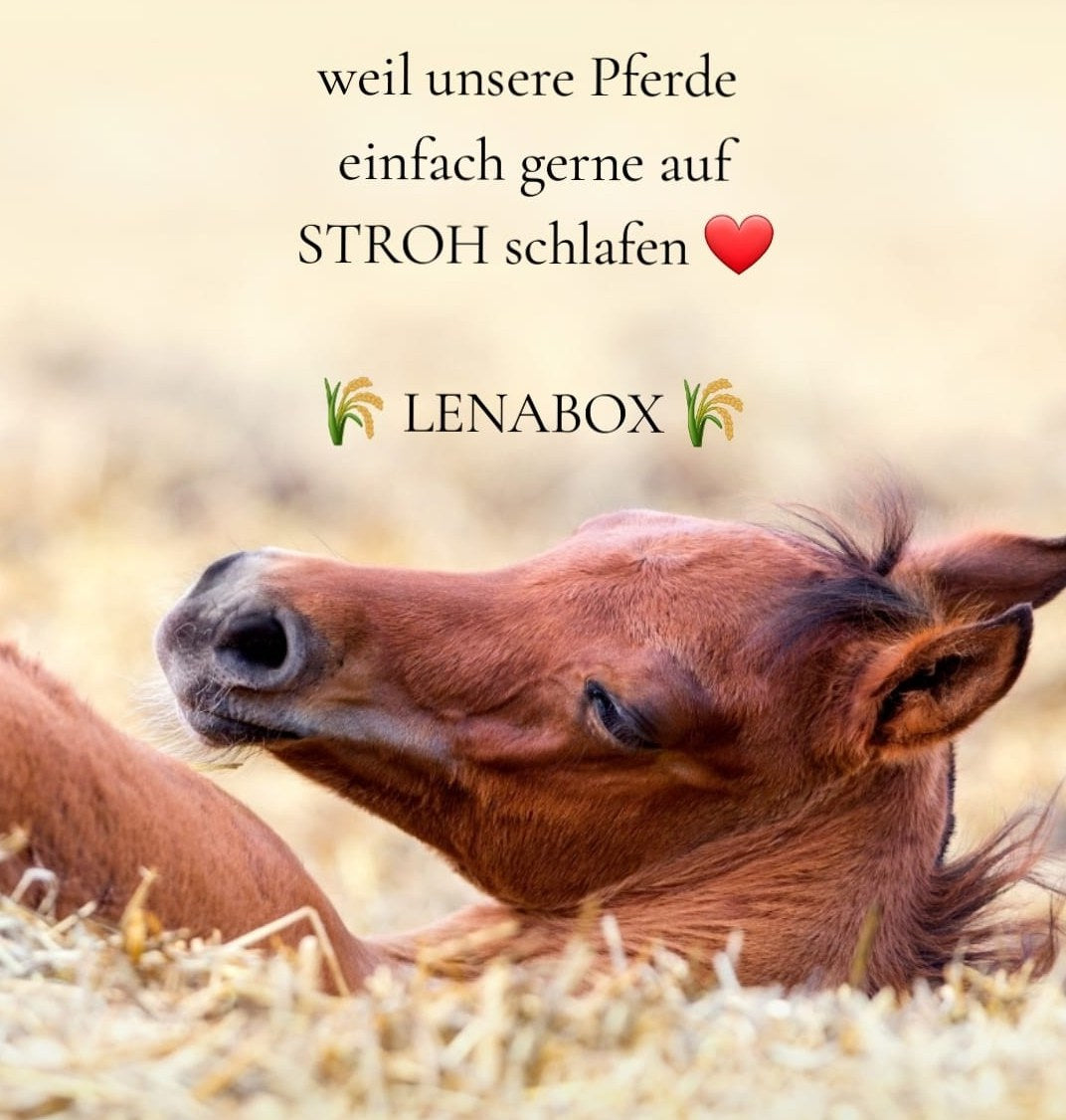Warum meine LIPIZZANER auf LENABOX EINSTREU gebettet sind...